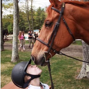 Elizabeth Toomey profile photo