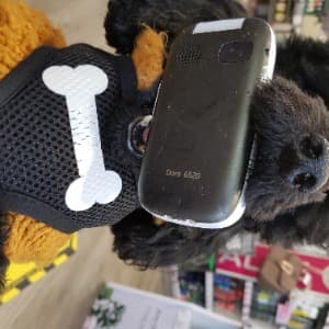 Coca Zaharina profile photo