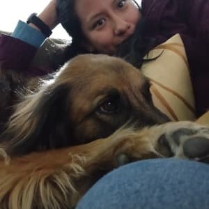 Judith Aquino profile photo
