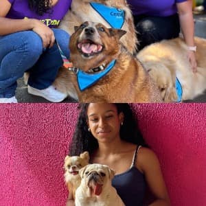 Vitoria Rodrigues profile photo