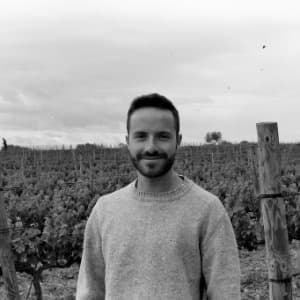 Joan Simó Bosch profile photo