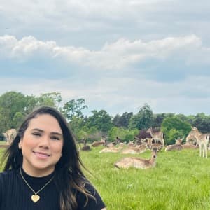 Beatriz Mendonça profile photo