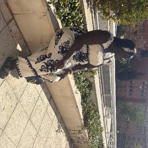Khady Diack profile photo