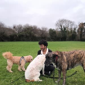 Kalyan Kumar profile photo