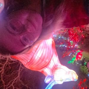 Emma O’Sullivan Meehan profile photo