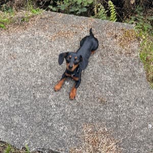 Sarah Bowring profile photo