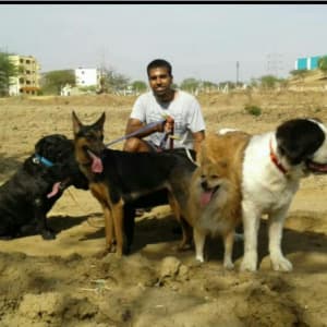 Anant Jain profile photo