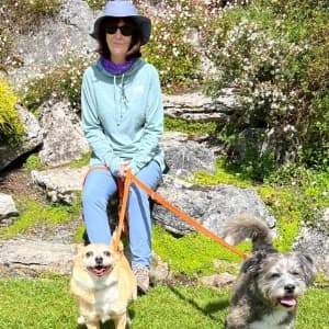 Anne Seavers profile photo