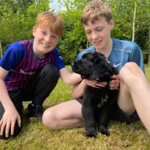 Emma Teeling profile photo