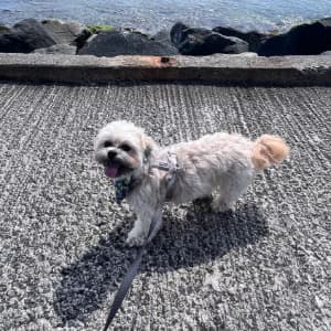 Conor S profile photo