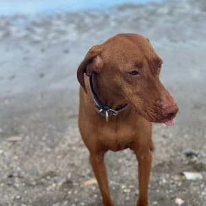 Daina Kr profile photo