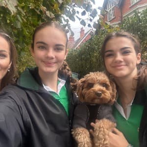 Sinead O'Sullivan profile photo